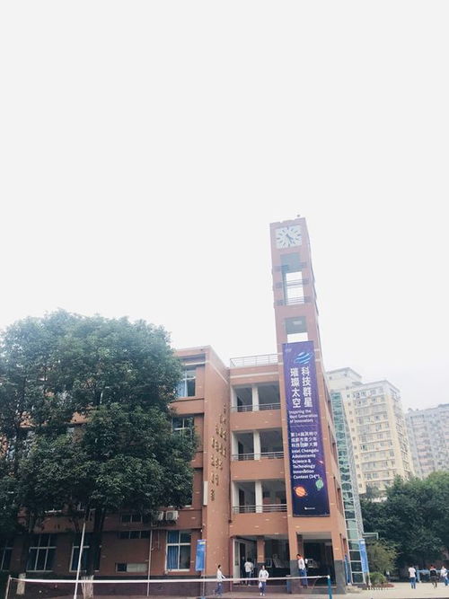 科技群星，璀璨太空——第34屆成都市青少年科技創新大賽盛況紀實